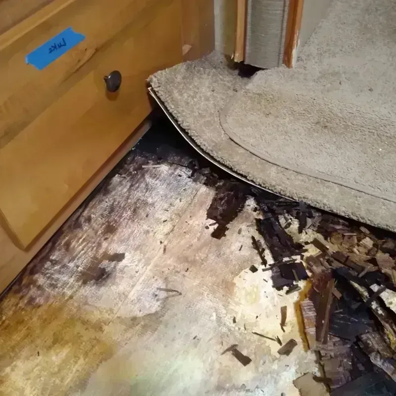 Best Wood Floor Water Damage Service in Huntingtown, MD